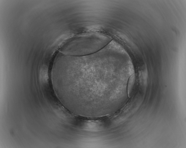 X0000113310508200910051107