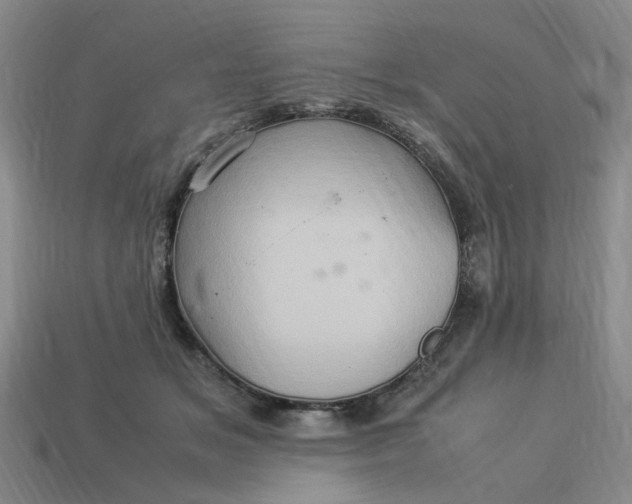 X0000113310509200910051107