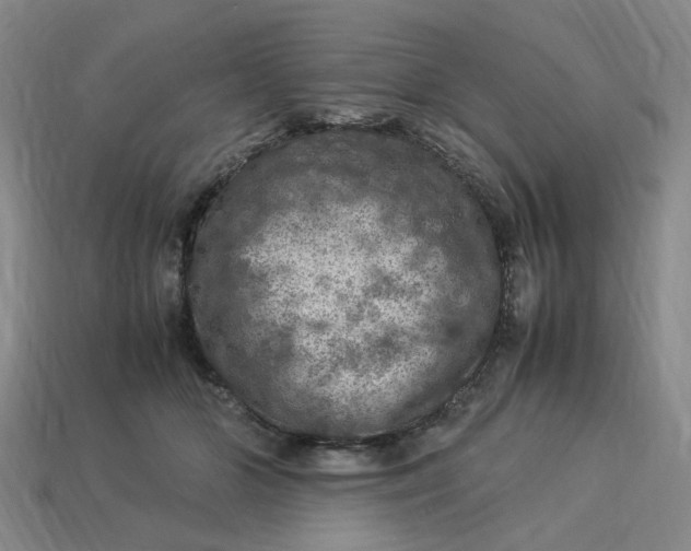 X0000113310510200910051107