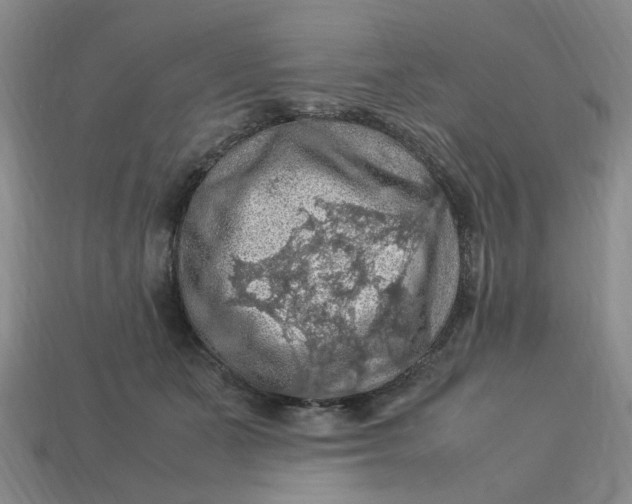 X0000113310511200910051107