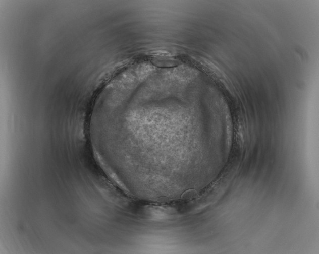 X0000113310512200910051107