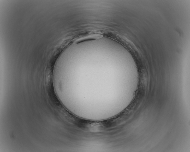 X0000113310513200910051107