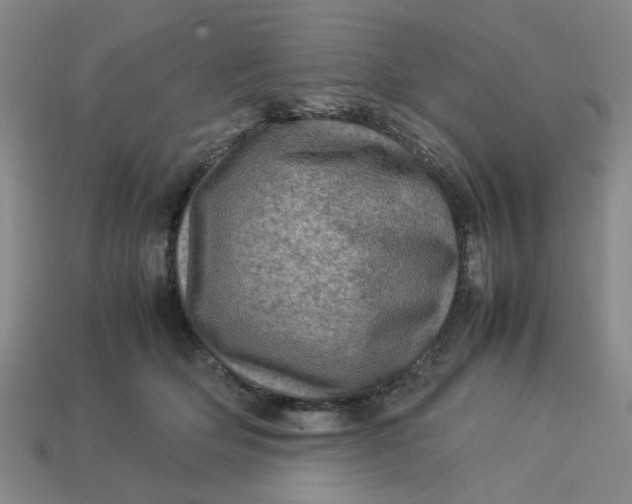 X0000113310514200910051107