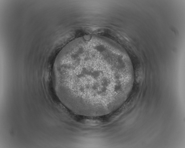 X0000113310515200910051107