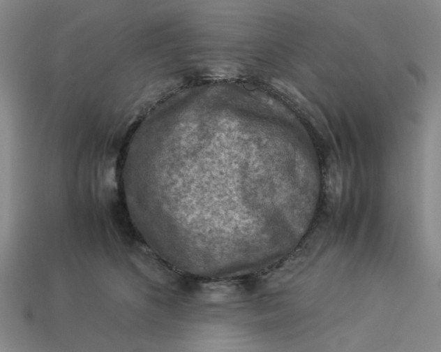 X0000113310516200910051107