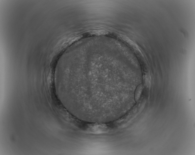 X0000113310517200910051107