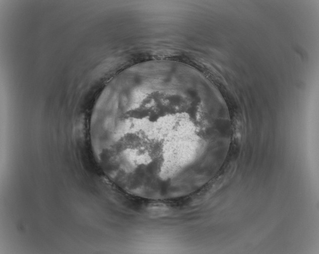 X0000113310519200910051107