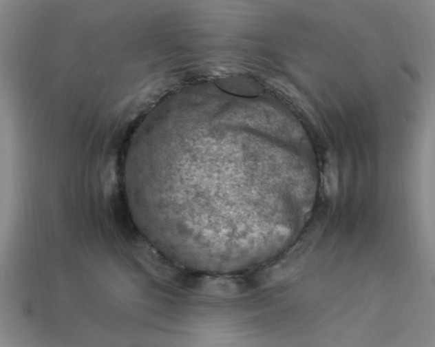 X0000113310520200910051107