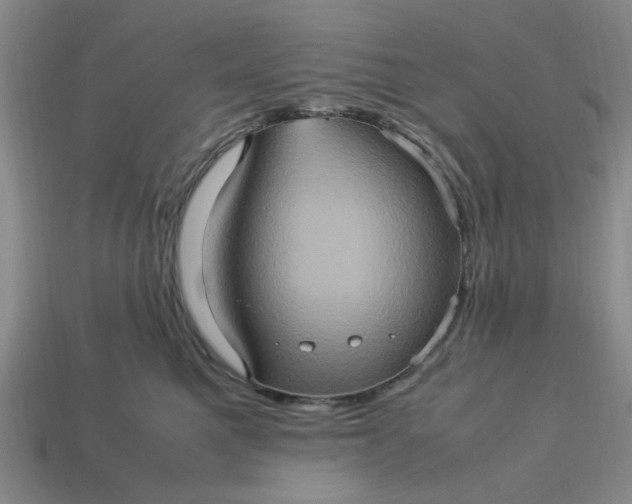 X0000113310521200910051107