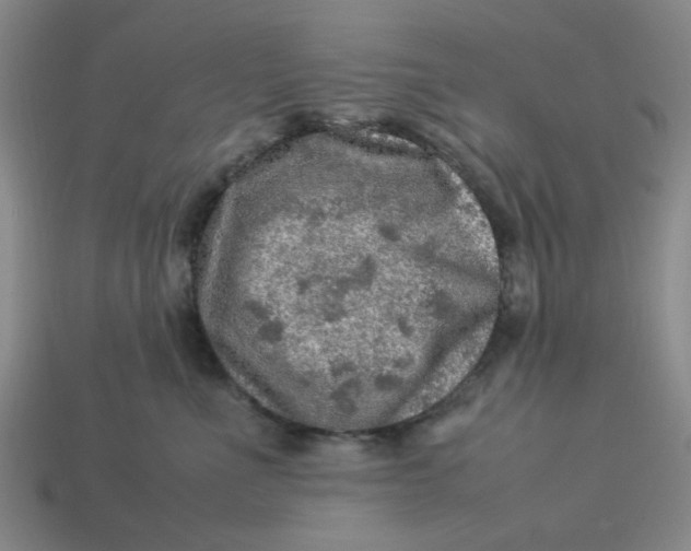 X0000113310523200910051107