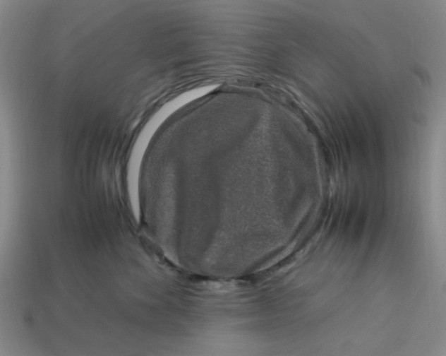 X0000113310524200910051107