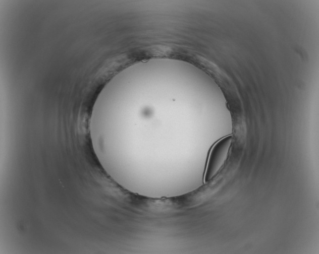 X0000113310525200910051107