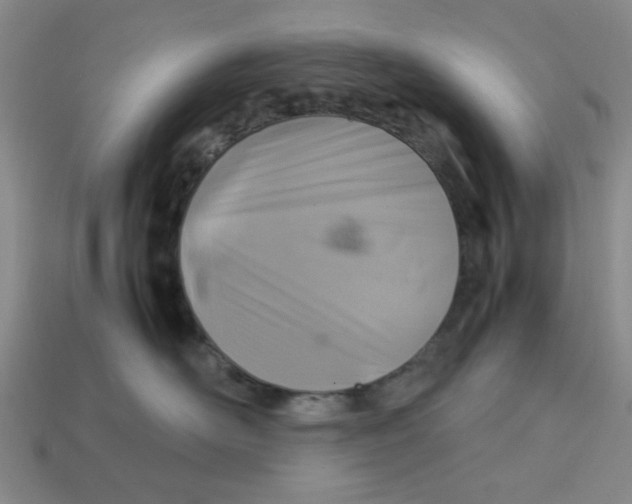 X0000113310526200910051107