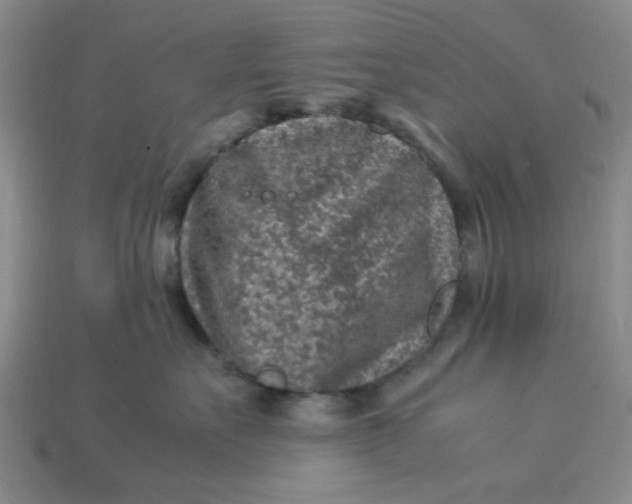 X0000113310527200910051107