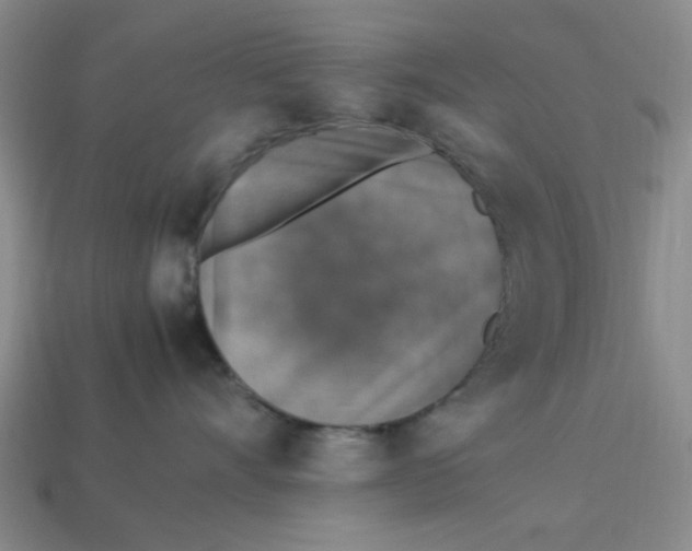 X0000113310528200910051107