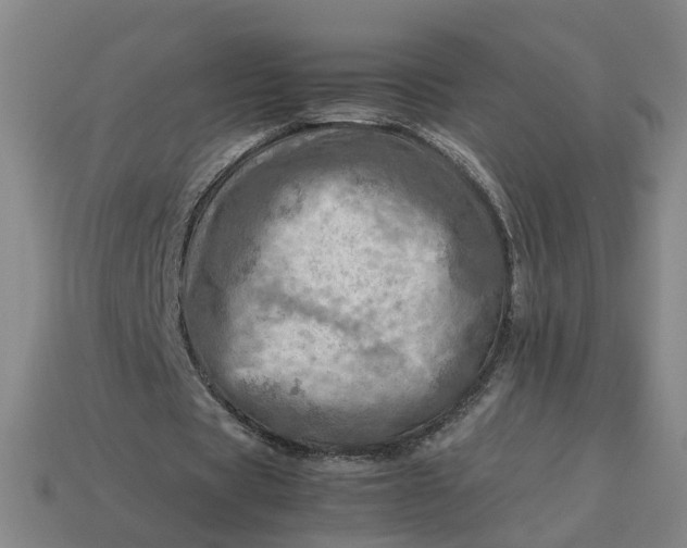 X0000113310529200910051106