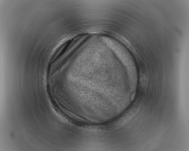 X0000113310530200910051106