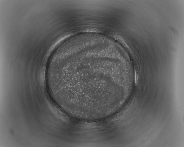 X0000113310531200910051106