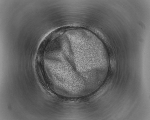 X0000113310532200910051106