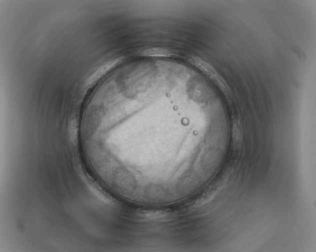 X0000113310533200910051106