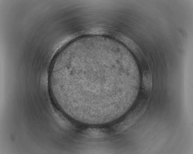 X0000113310534200910051106