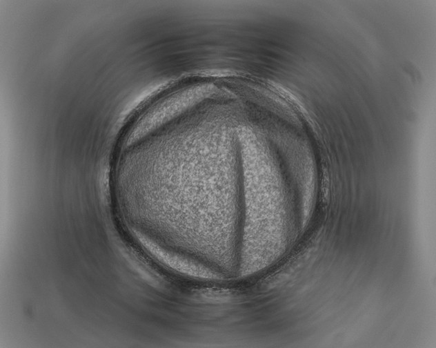 X0000113310535200910051106