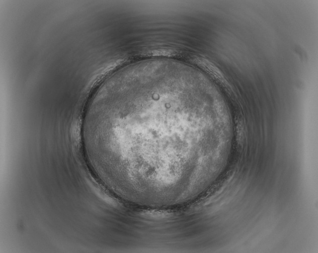 X0000113310537200910051106