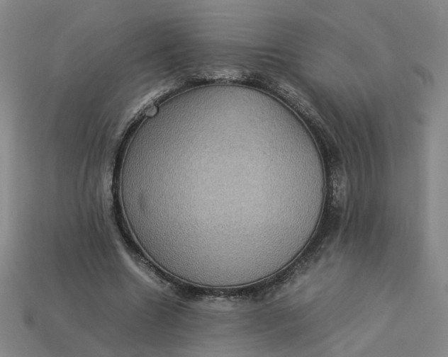 X0000113310538200910051106