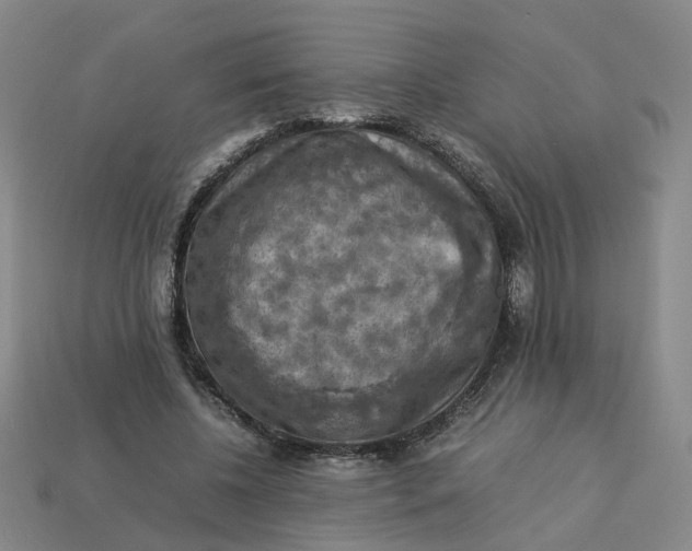 X0000113310540200910051106