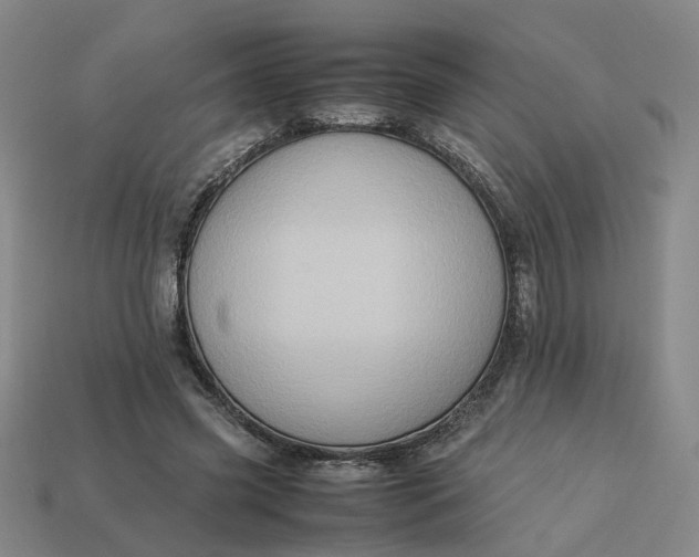 X0000113310541200910051106