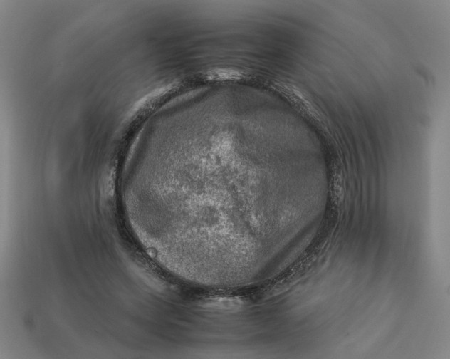 X0000113310543200910051106