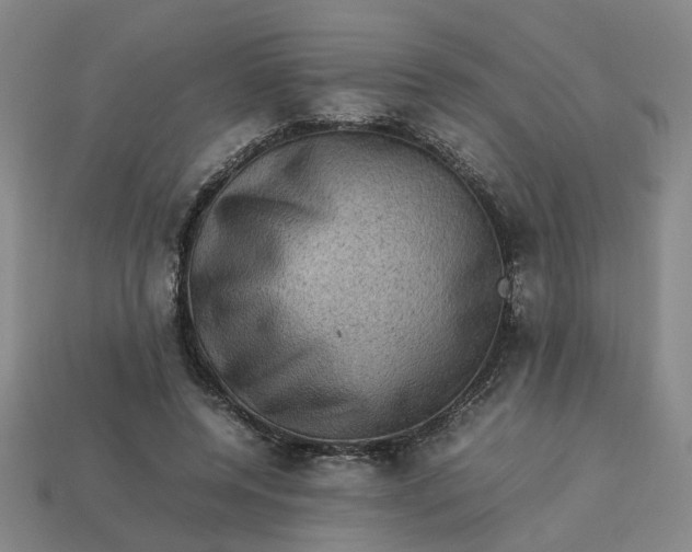 X0000113310544200910051106