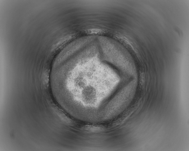 X0000113310545200910051106