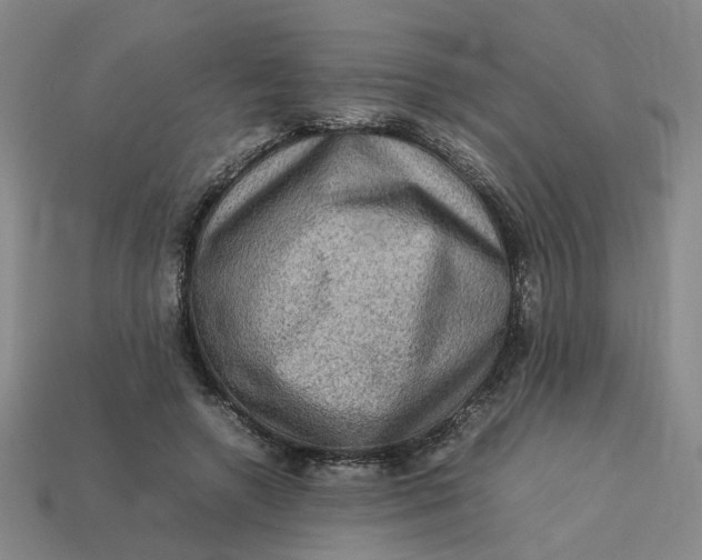 X0000113310546200910051106