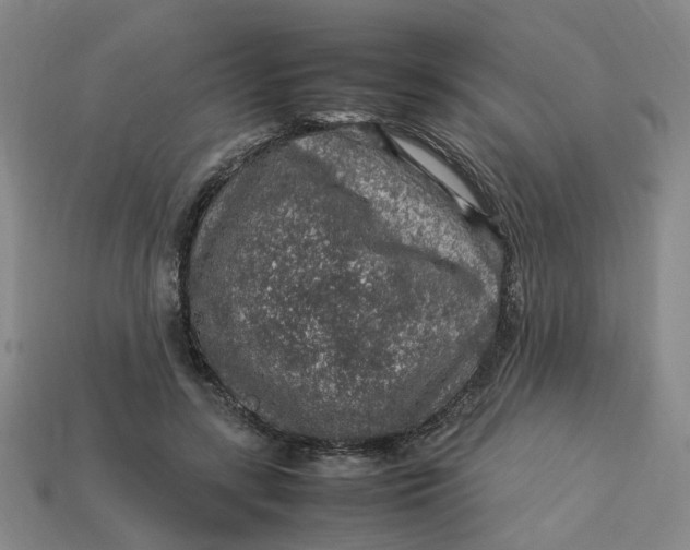 X0000113310547200910051106