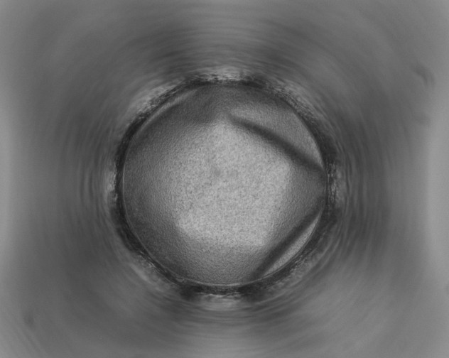 X0000113310548200910051106