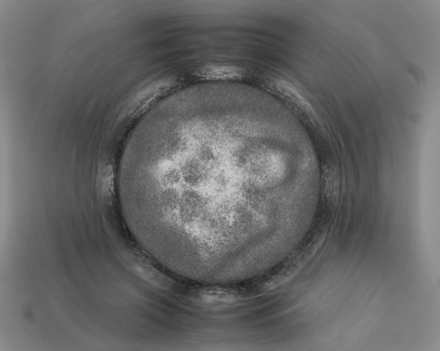 X0000113310549200910051106