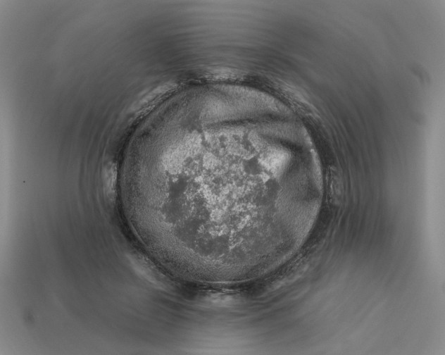 X0000113310550200910051106