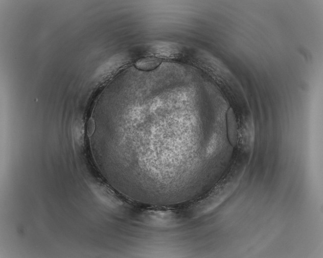 X0000113310552200910051106