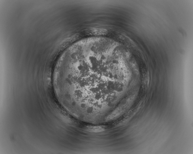 X0000113310553200910051106