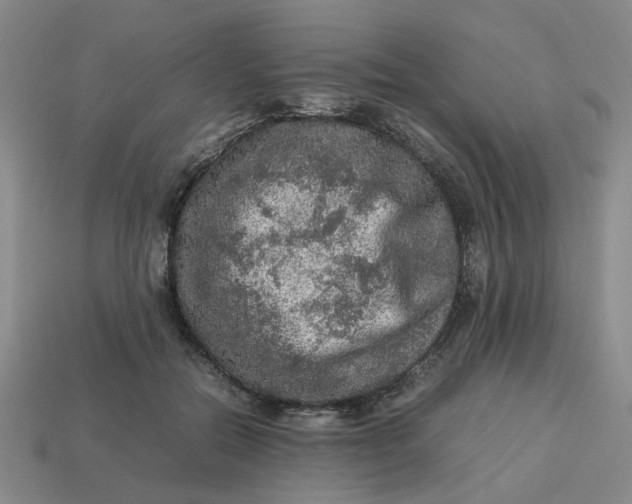 X0000113310554200910051106