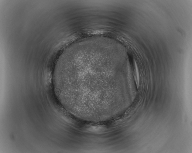 X0000113310555200910051106