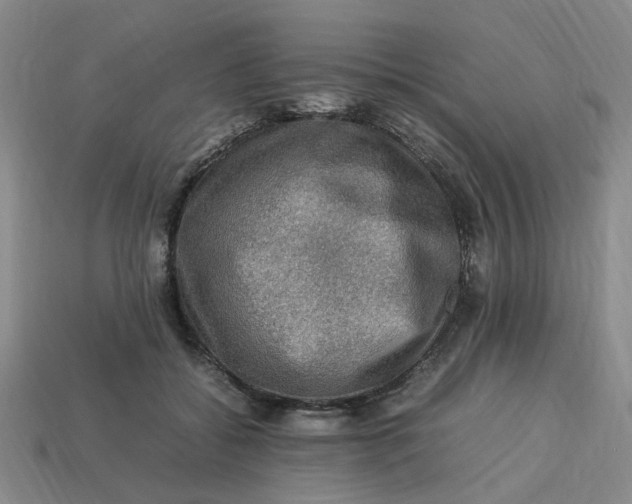 X0000113310556200910051106