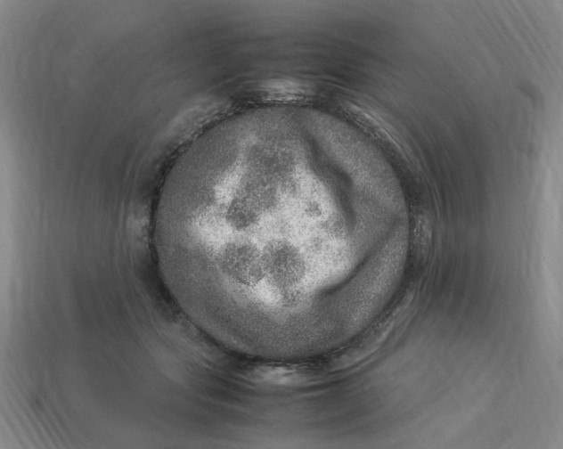 X0000113310557200910051106