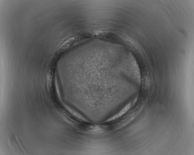 X0000113310558200910051106