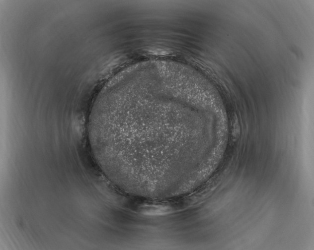 X0000113310559200910051106