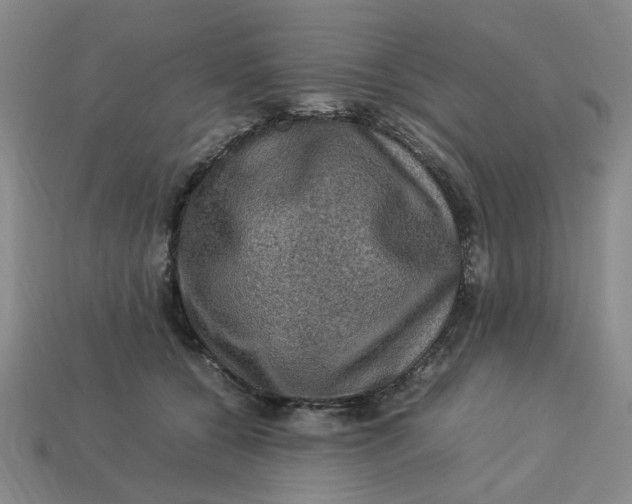 X0000113310560200910051106