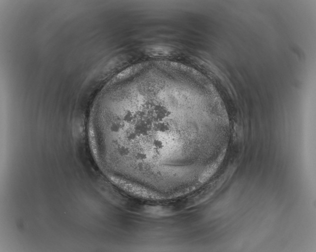 X0000113310561200910051106