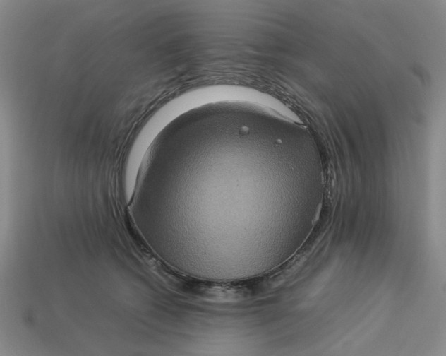 X0000113310562200910051106