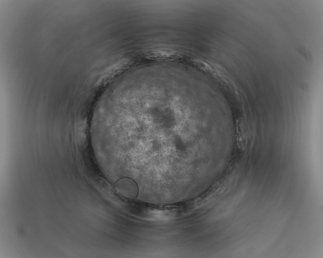 X0000113310563200910051106